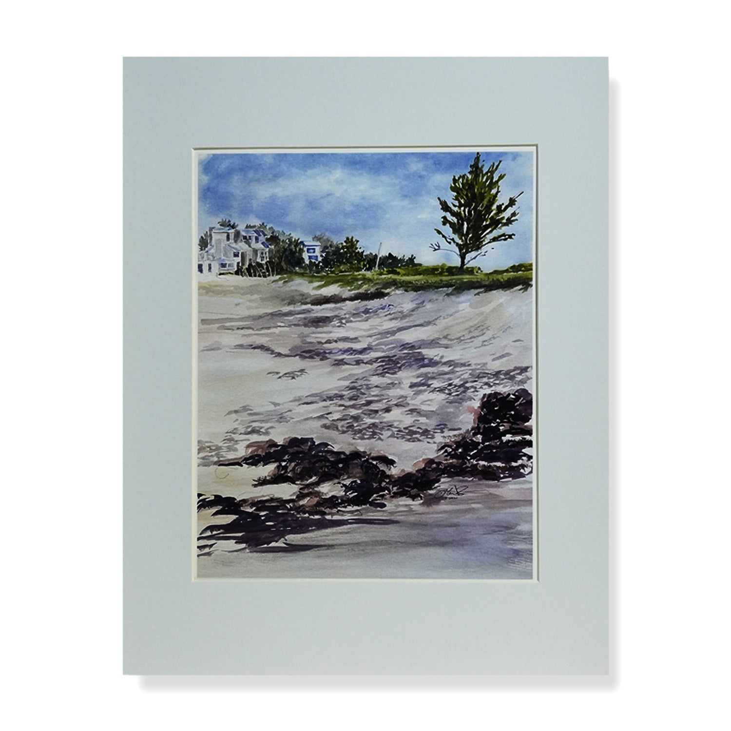 Watercolor painting of an Australian Pine on the beach along Florida’s Treasure Coast by artist Don MacIntosh
